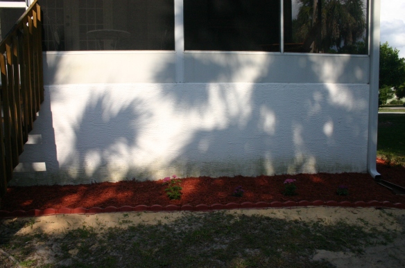 This is the other side of the bed in the previous picture and yes, I know the side of the house needs to be cleaned. It's on my to do list. I hesitated to even show you  my dirty house but this post is about dirt and I like the palm shadows.